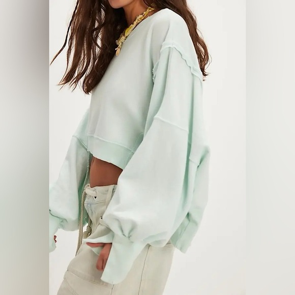 NWT Free People We The Free Camden Cropped Sweatshirt - Mint Julep - Picture 2 of 9
